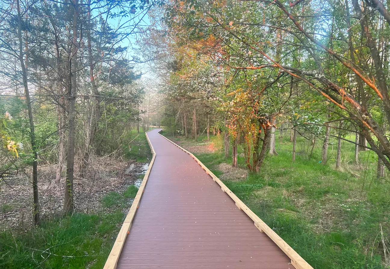 A brown wood pathway leads through green grass and trees